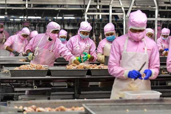 KY5C金屬檢測機檢測肉類產品，確保肉類企業加工和質量安全